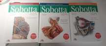 Atlas Sobotta- mianownictwo angielskie