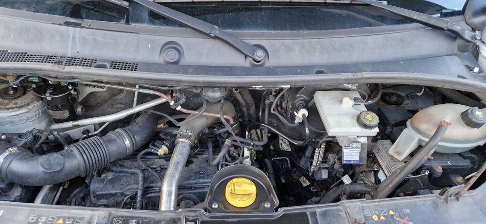 Renault Master 2017r, AdBlue,  Winda 09.2027r,  8ep. 420x220x230/250,