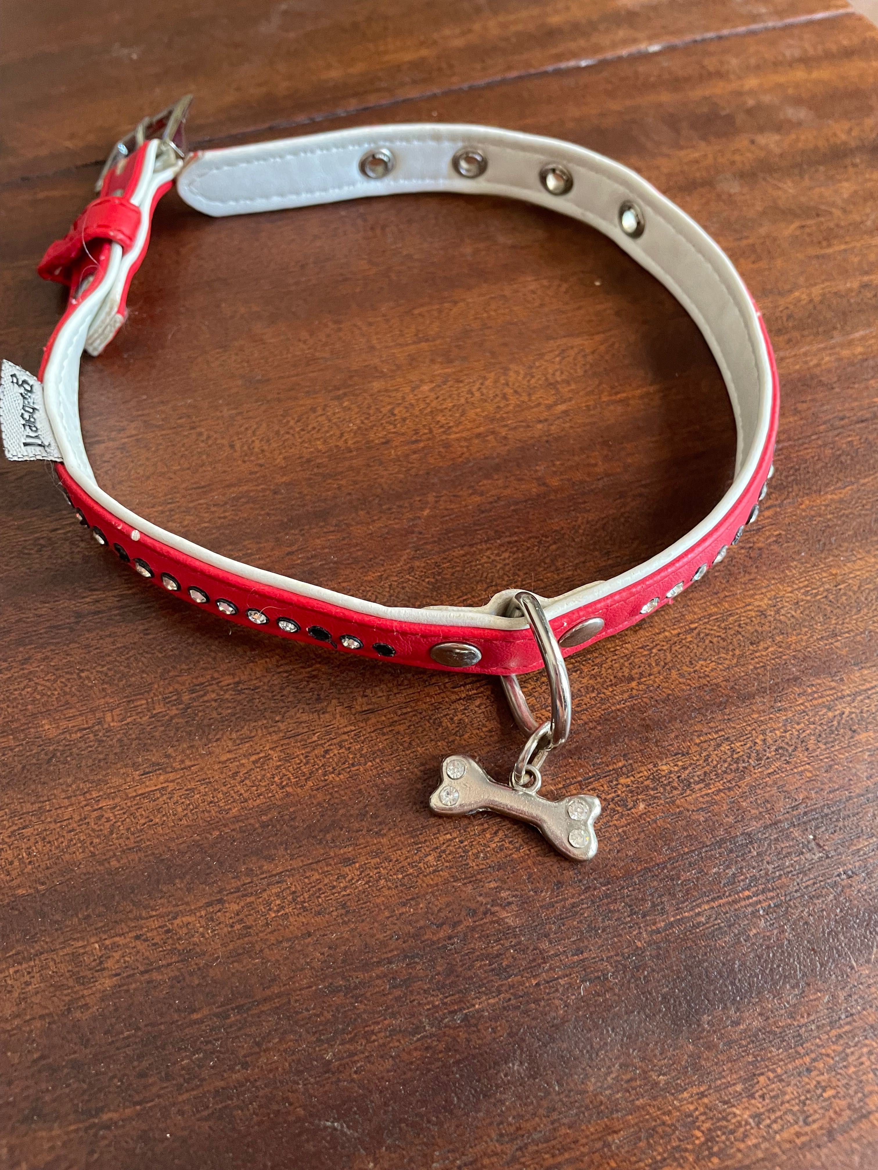 Coleira para cão/cadela pequenO/a