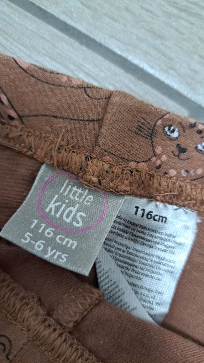 Little Kids komplet dziewczęcy z kotkiem bluzka koszulka spodnie getry