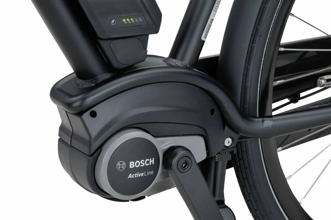 Rower elektryczny Batavus Quip Extra Cargo Bosch Unisex Black Mat