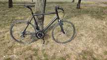 Bergamont beluga speed 28" , рама 60