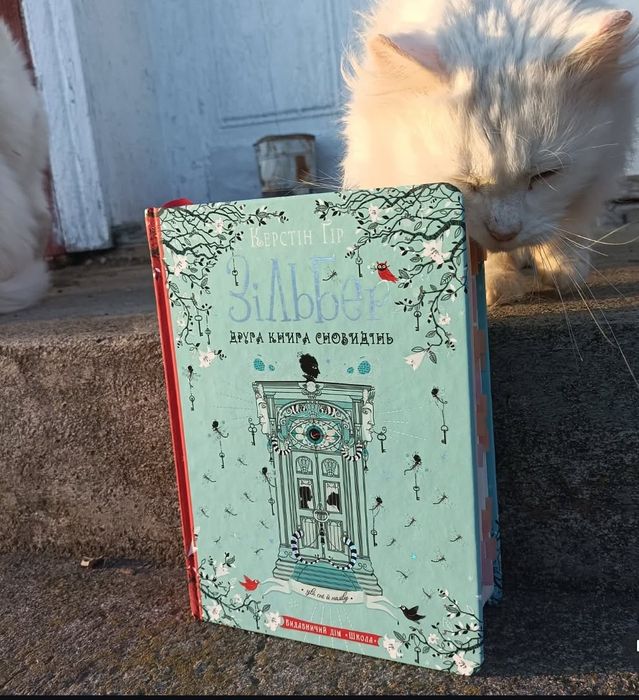 Зільбер. Друга книга сновидінь