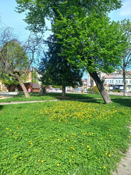 Продається 3 кім квартира в м. Калуш, вул. Шевченка