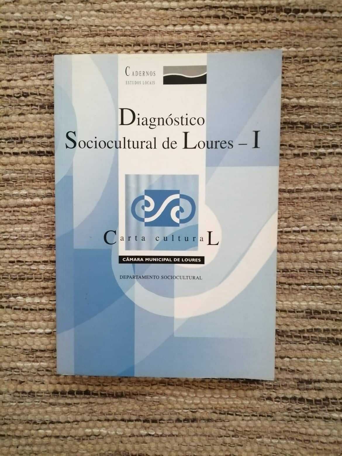 Diagnóstico Sociocultural de Loures - I