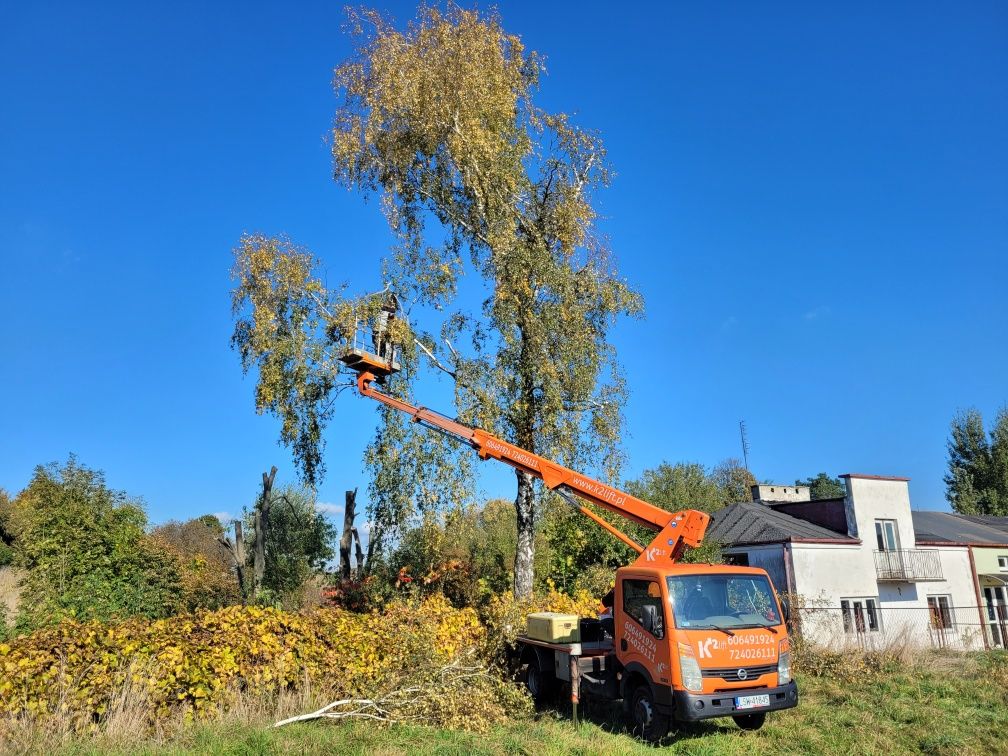 Wycinka Drzew Usługi Rębakiem rozdrabnianie gałęzi Łupanie drzewa