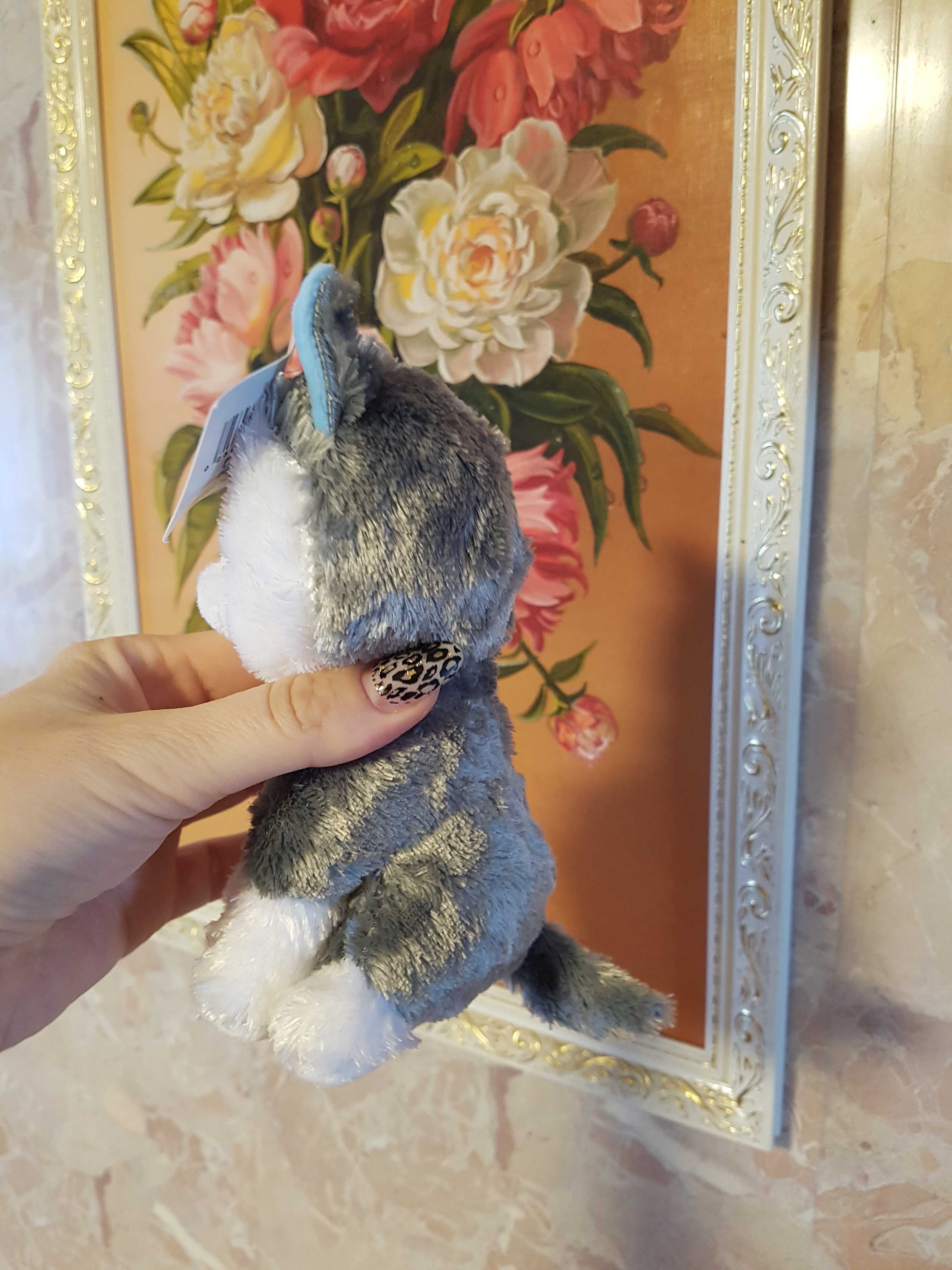 TY Beanie Boos глазастик собака хаски, волк 15 см