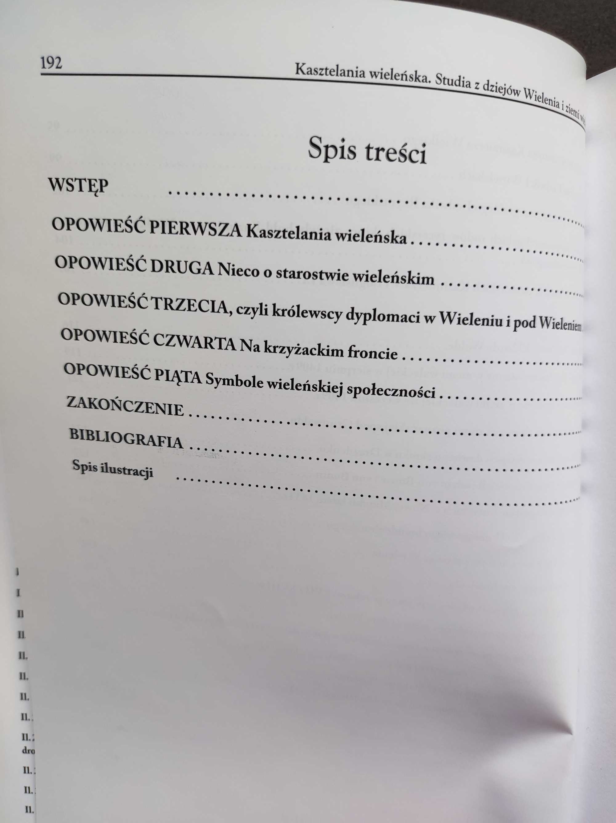 Kasztelania wieleńska. Studia z dziejów Wielenia i ziemi wieleńskiej