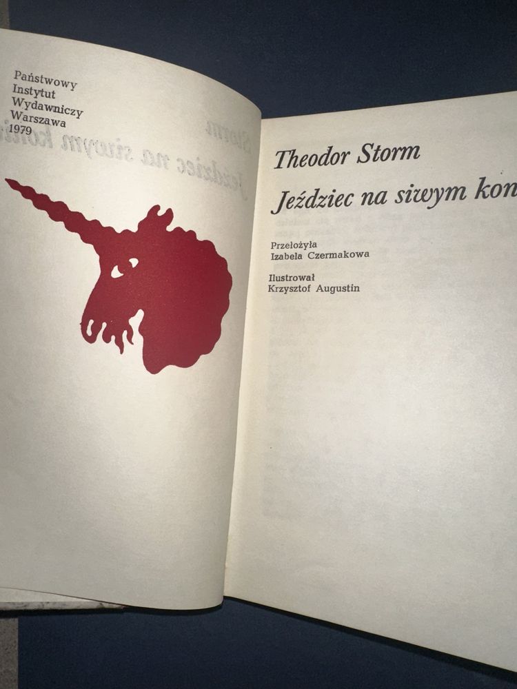Jeździec na siwym koniu Theodor Storm książka