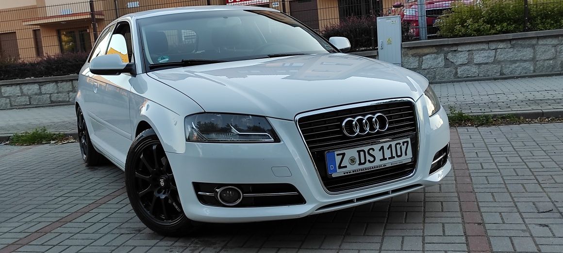 Audi A3 1.6 Mpi Lift biala ślicznotka Alu SPARCO