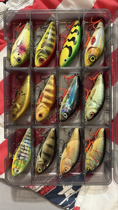 Duza kolekcja jerki salmo westin