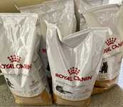Kociaki .• Ciężarne • Maluszki od 4tyg • Royal Canin Mother & Babycat