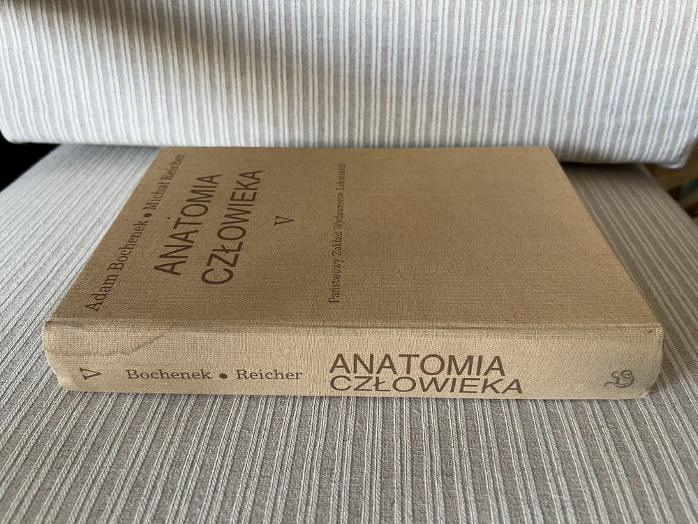 Anatomia czlowieka V Adam Bochenek Michal Reicher