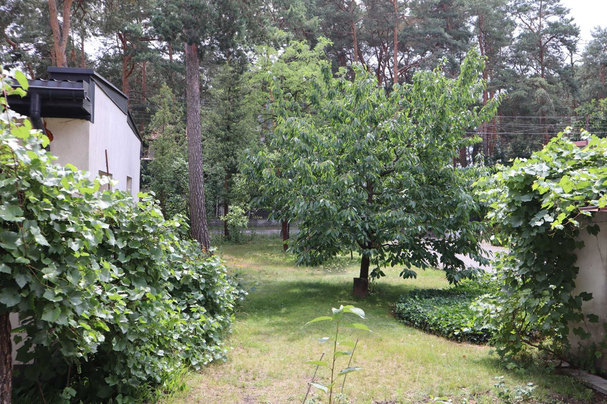 Nieruchomość z domem i 4 garażami na działce o powierzchni 1246 m2
