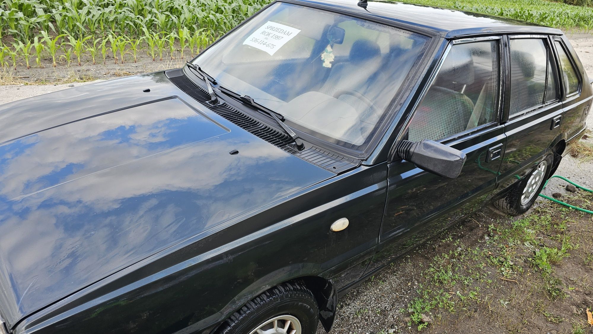 Polonez caro plus