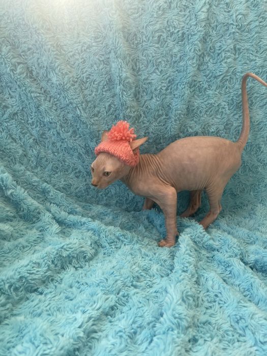 Чудовий хлопчик