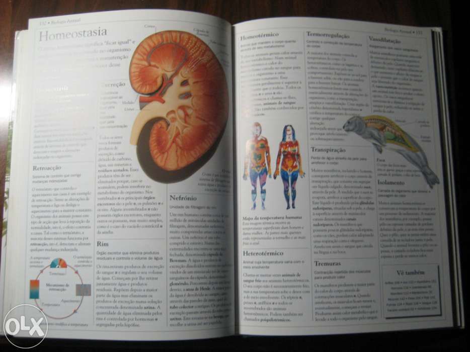 Dicionario Escolar DA Natureza