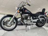Suzuki LS  Savage
