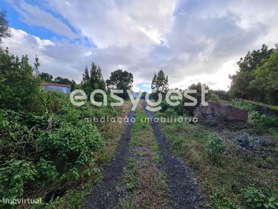 Terreno na zona da Miragaia Norte, nas Bandeiras, Madalena