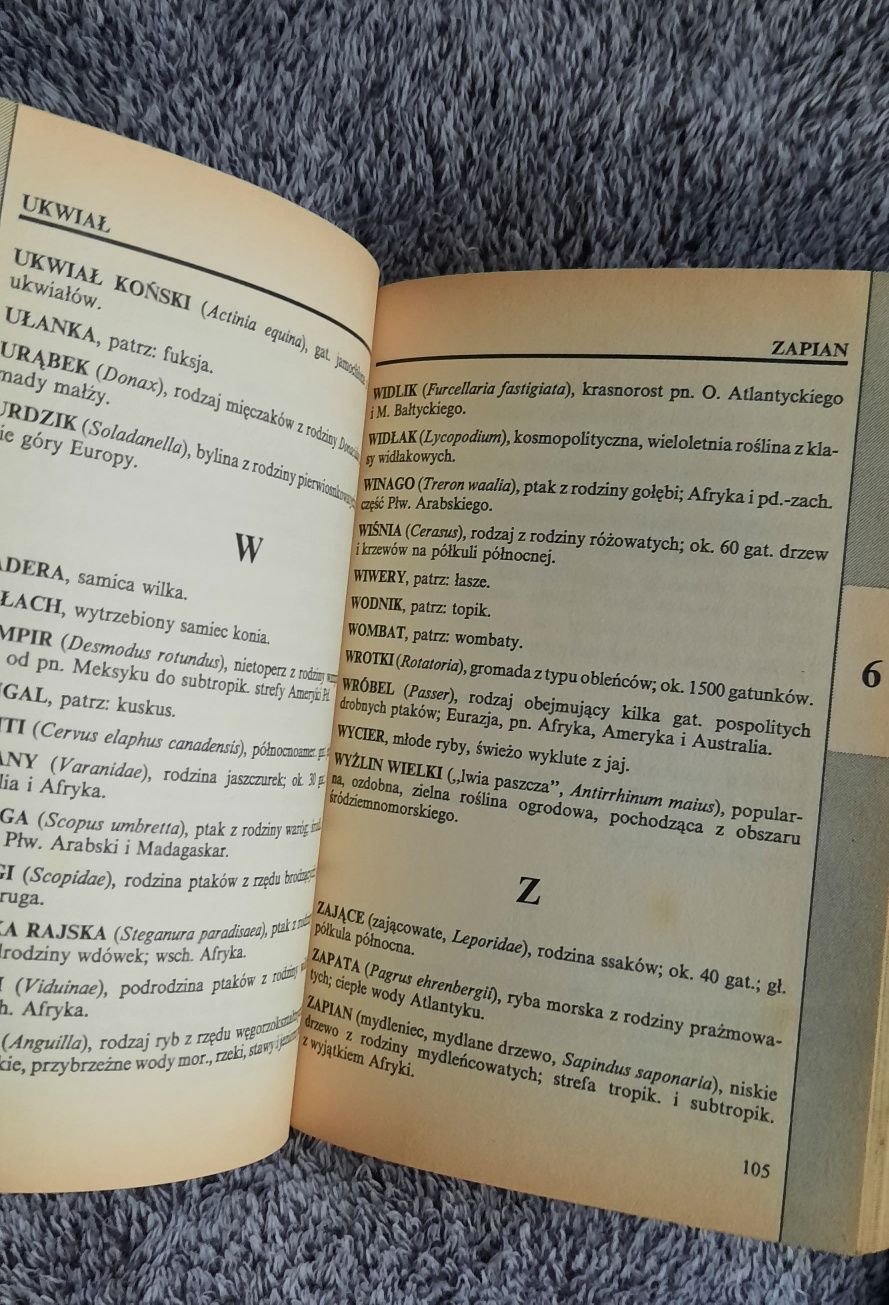 Książki kieszonkowa Encyklopedia dla krzyżówkowiczów