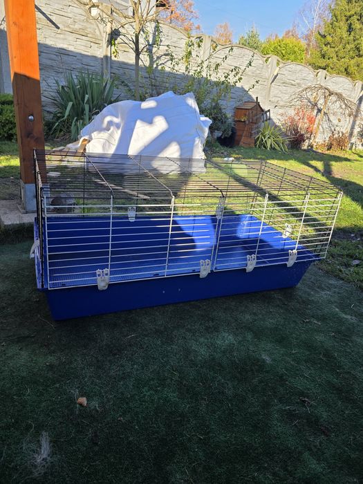 Klatka dla królika