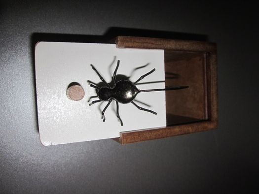 CAIXA com Aranha p/ pregar sustos.