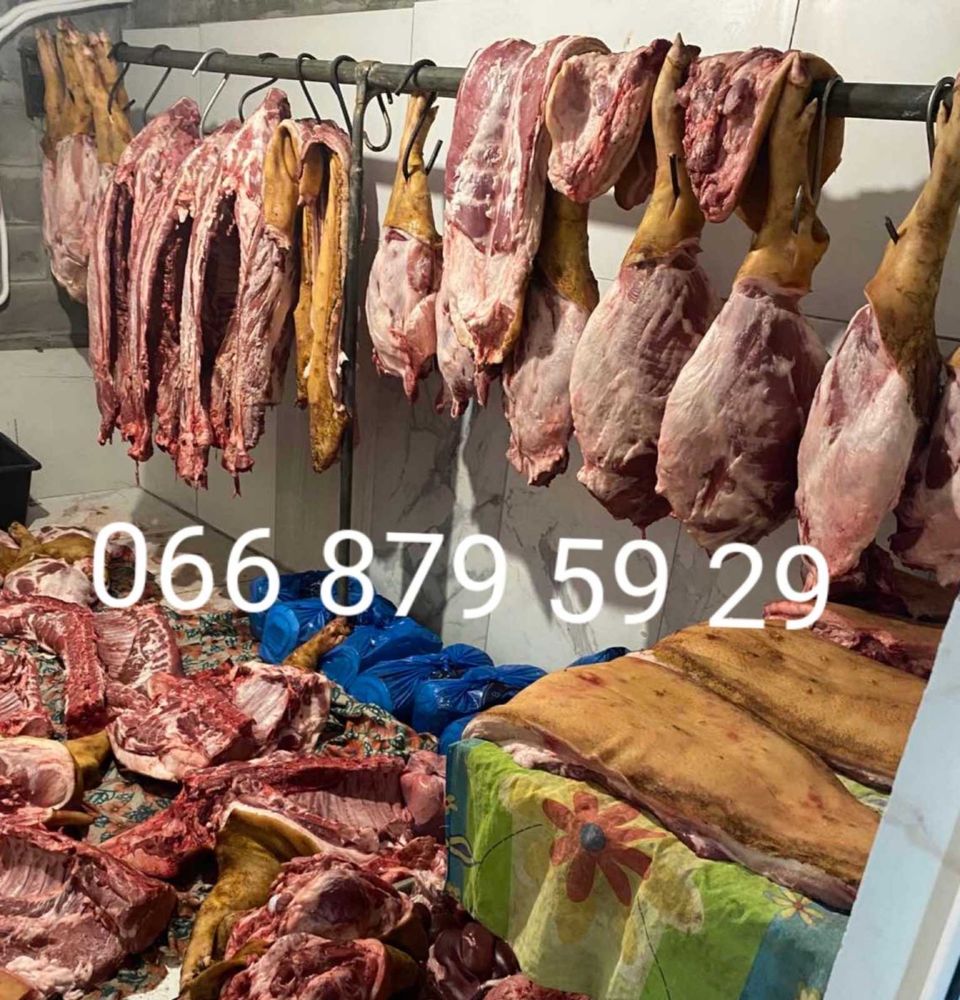 Продам мясо свинини туші свиней