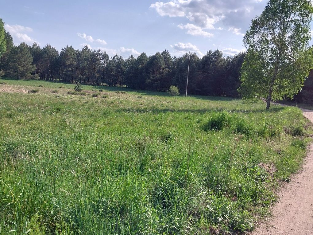 Borsk  z zejściem do rzeki