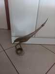 Escultura em osso/chifre