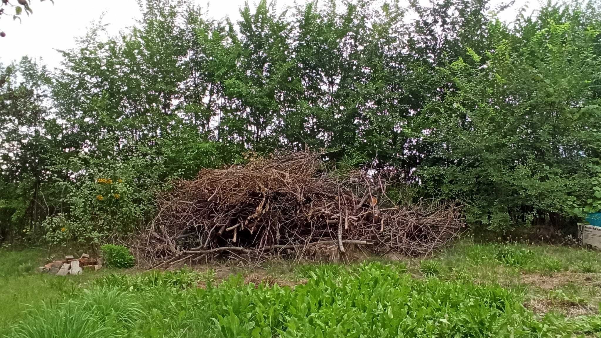 Gałęzie, drewno na opał