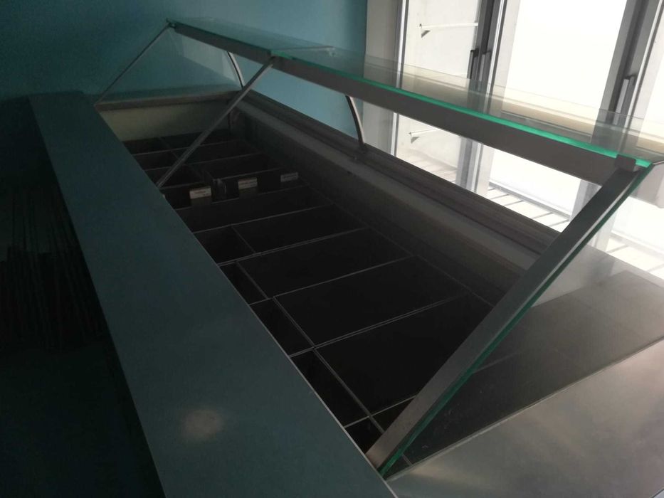 Ilha / Vitrine de congelados