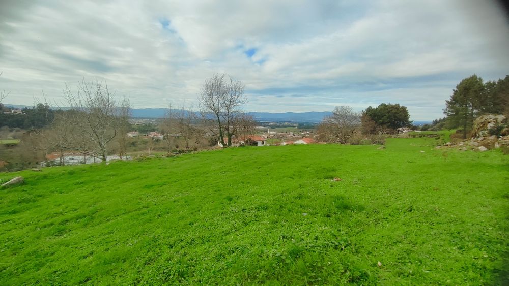 Terreno 1200m2 Fontoura