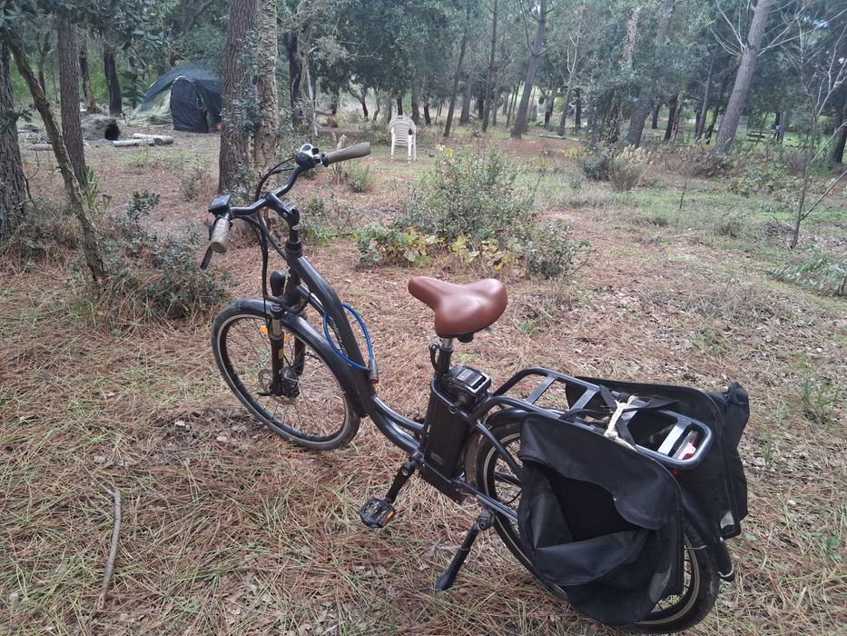Bicicleta electrica