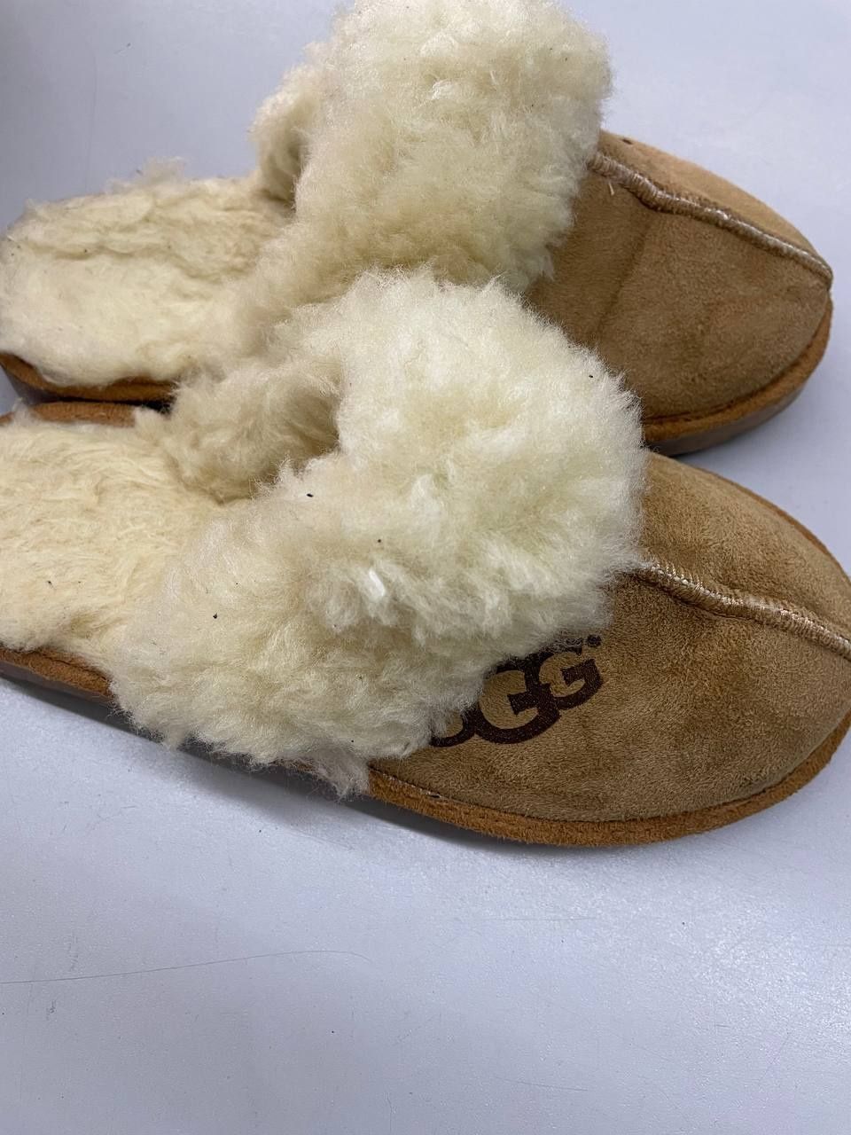 тапки из коллекции UGG