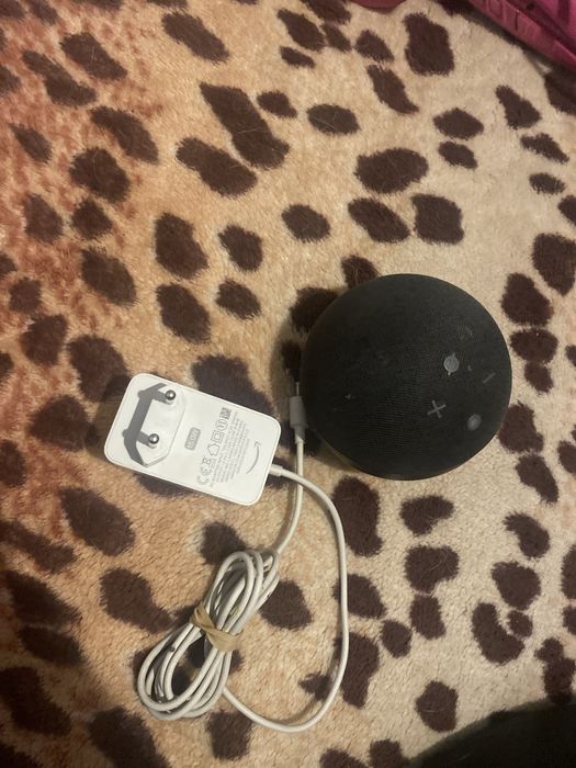 Alexa usada 5 geracao