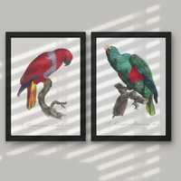 Plakaty 2szt Papugi WIELE WZORÓW! ~21x30cm Ornitologia boho vintage