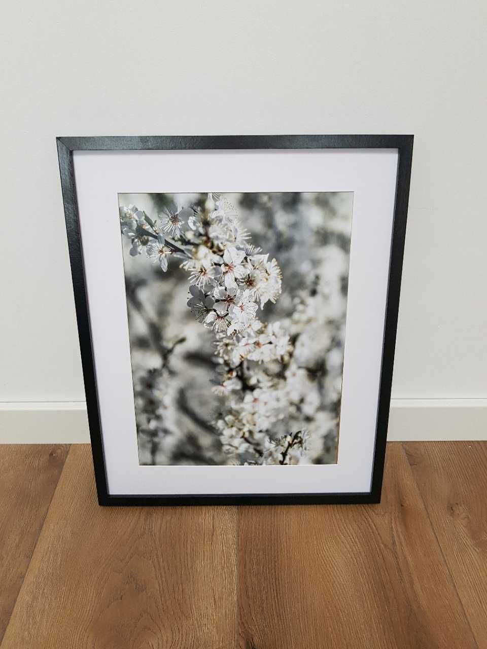 Plakat obraz zdjęcie format A3 30x40 cm białe kwity wiosna maki mak