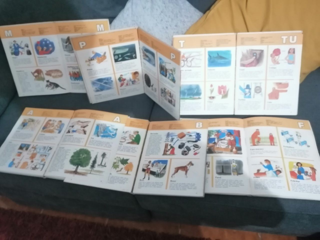 Enciclopédia infantil composto por sei livros