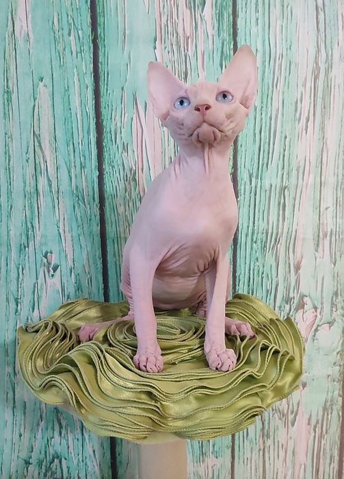 Голубоокий блондин