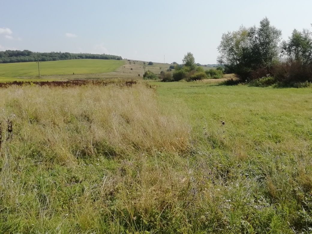 Земельна ділянка під садівництво