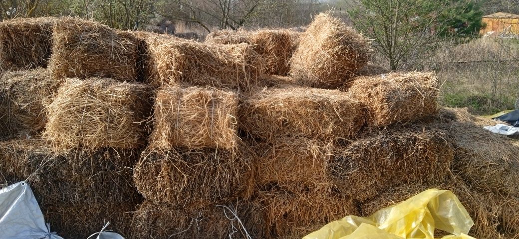 Подарую солому, сіно люцерни