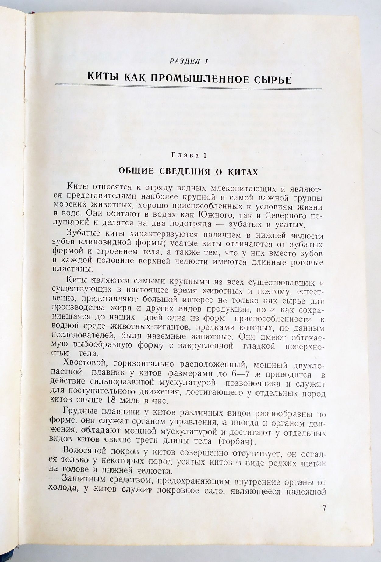МЯСО КИТА Техника технология обработки сырья дельфинов китов морских