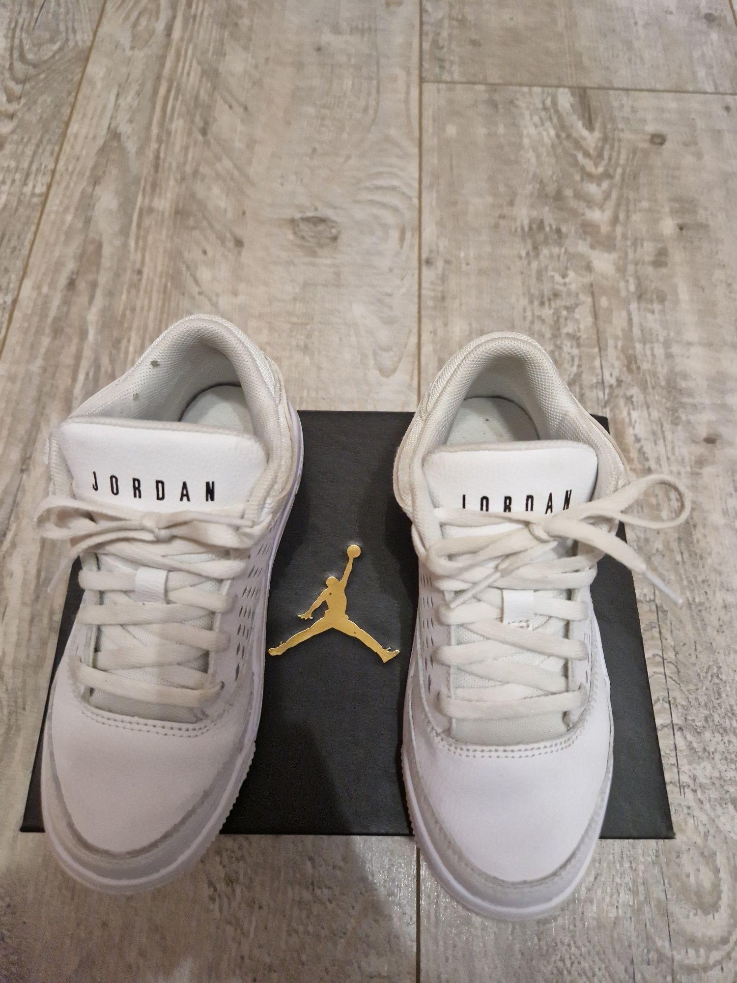 Jordan flight origin 4