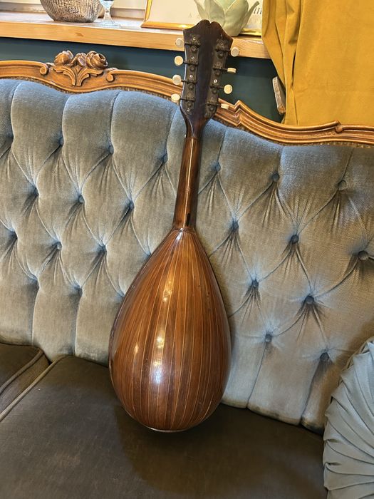 Mandola mandolina intersjowana