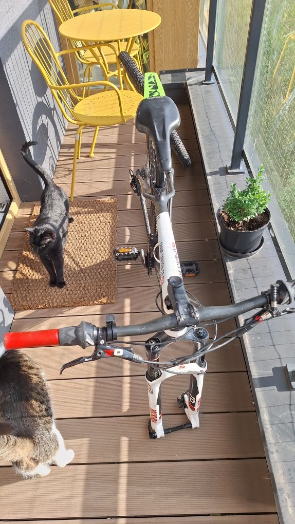 Rower: Canyon Grand Canyon CF SLX F10 – Karbonowy MTB gotowy na przygo