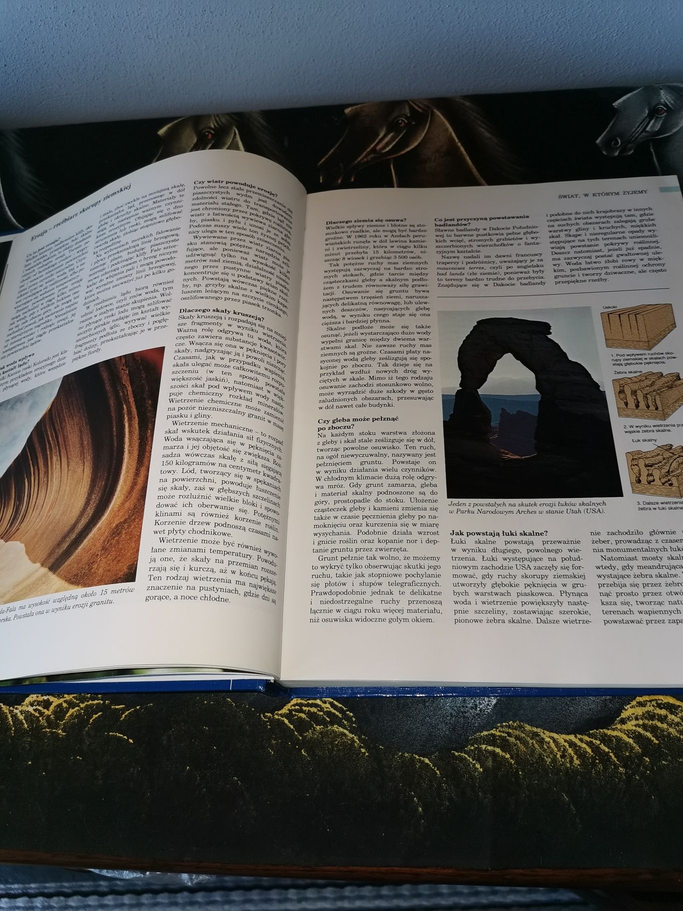 Abc przyrody, encyklopedia przyrody