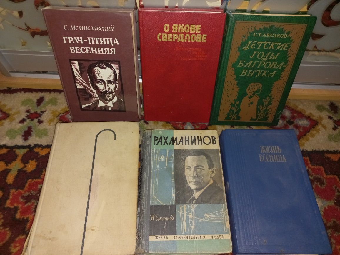 Жизнь замечательных людей биография Гойя В.Ван Гог В.Васнецов Ч.Чаплин