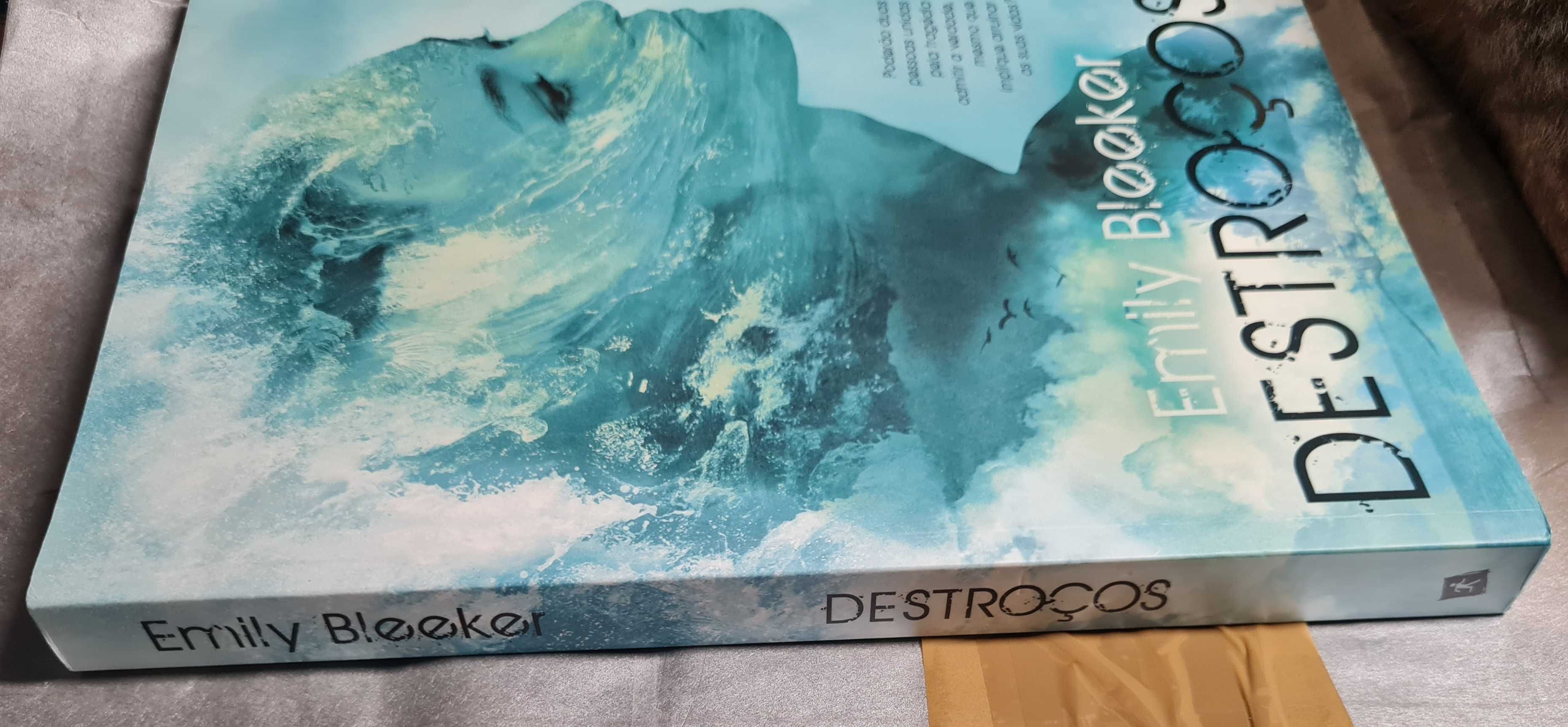 Destroços de Emily Bleeker