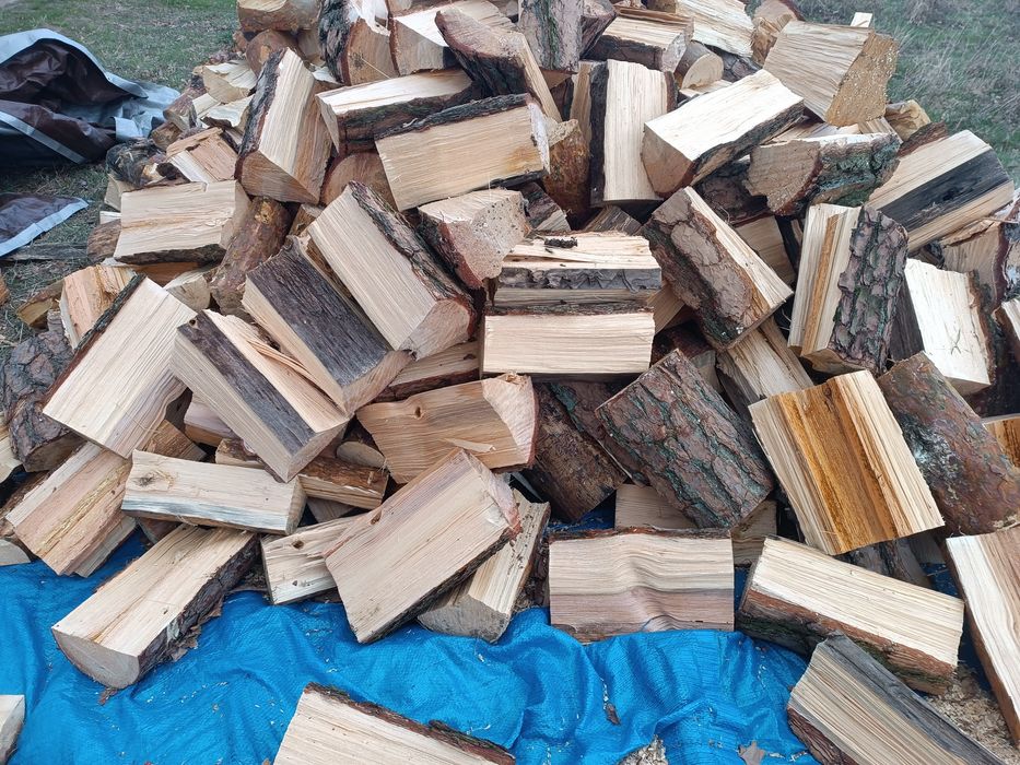 Drewno opałowe sosna