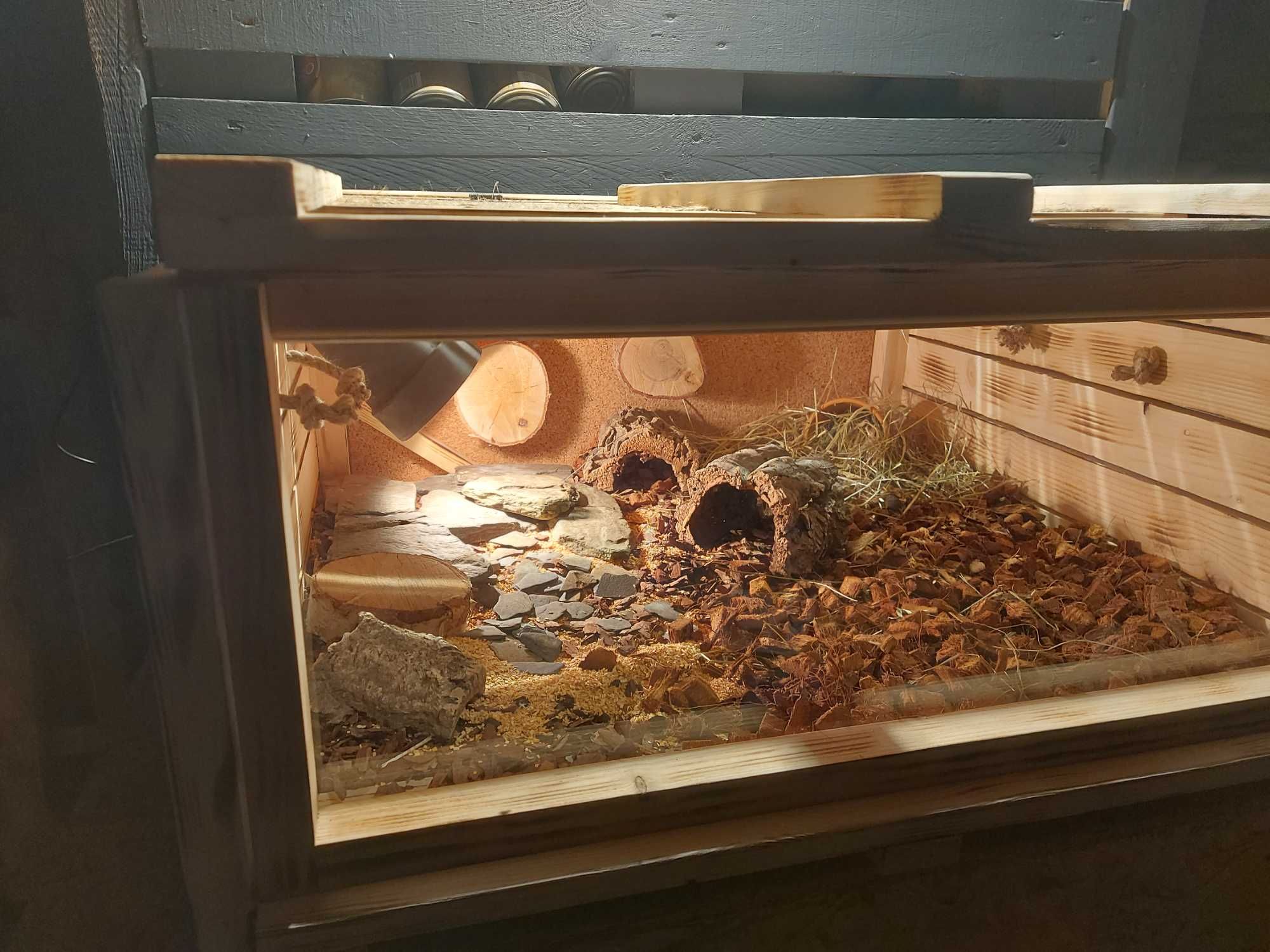 Terrarium kompletne naturalne gekon lamparci żółw lądowy